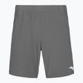 Pánské šortky Mizuno 8 In Flex Short quiet shade
