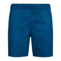 Pánské plavecké šortky  Nike Big Block 7" Volley court blue 6