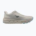 Pánské běžecké boty Mizuno Wave Horizon 9 foggy dew/dark slate/blue jewel 9