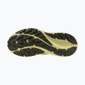 Dámské běžecké boty Mizuno Neo Lumina sea spray/mentholated/beechnut 11