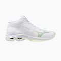 Dámské volejbalové boty Mizuno Wave Lightning Pro Mid white/aqua gray/ambrosia 8