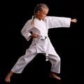 Dětský pásek Bushido karategi ARK-3102 bílý 14