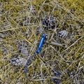 Kolík ke stanu Lesovik Spig blue 4