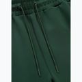 Pánské šortky Pitbull Track Shorts Powers bottle green 6