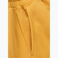 Pánské šortky Pitbull Lancaster 2 washed yellow 10