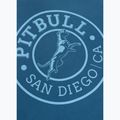 Mikina Pitbull Vintage Boxing Hooded Sweatshirt shade blue 11