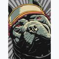 Pánské tričko Pitbull Mt. Fuji washed grey 6