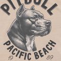 Pánské tričko Pitbull Pacific Ultra Light sand 8