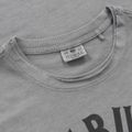 Pánské tričko Pitbull Shkull Logo grey 6