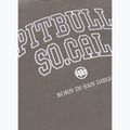 Pánská mikina Pitbull So Cal Crewneck taupe 7