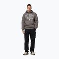 Pánská mikina Pitbull So Cal Hooded taupe 2
