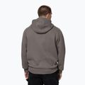 Pánská mikina Pitbull So Cal Hooded taupe 3