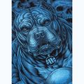 Pánská mikina Pitbull Crewneck Guardian Angel black 6