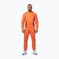 Pánská mikina Pitbull Dogwood Crewneck Sweatshirt fluo orange 2