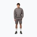 Pánská mikina Pitbull Dogwood Crewneck Sweatshirt taupe 2