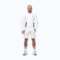 Pánská mikina Pitbull Dogwood Crewneck Sweatshirt white 2