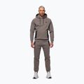 Pánská mikina Pitbull Dogwood Hooded Sweatshirt taupe 2