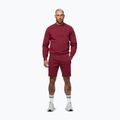 Pánská mikina Pitbull Sampson Crewneck Sweatshirt burgundy 2