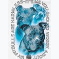 Pánské tričko na lezení Pitbull Protector white 11