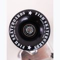 Skateboard Fish Skateboards Surfkate Ours 9,37"  6