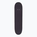 Skateboard Fish Skateboards Pro Brain Vacation 8,0"  2