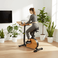 Elektrokolo XTREXO EB400-desk black 10