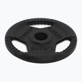 Litinový kotouč XTREXO TRX-ICP001 1,25 kg chrom