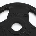 Litinový kotouč XTREXO TRX-ICP001 1,25 kg chrom 4