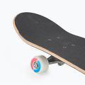 Klasický skateboard ATTABO Ollie green 7