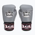 Boxerské rukavice RAJA BOXING Single Semi Leather grey 2