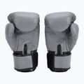 Boxerské rukavice RAJA BOXING Single Semi Leather grey 3