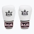 Boxerské rukavice RAJA BOXING Single Semi Leather white 2
