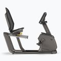 Rotoped Matrix Fitness Recumbent Bike R50XR-02 graphite grey
