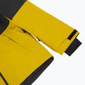Pánská lyžařská bunda Halti Wedeln DX golden palm 4