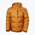 Pánská zateplená bunda Helly Hansen Active Winter mustard 6