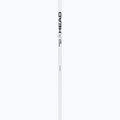 Lyžařské hole HEAD Worldcup Rebels Carbon white 2