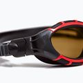 Plavecké brýle Zoggs Predator Flex Polarized Ultra red/black/polarized cooper 5