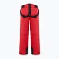 Pánské lyžařské kalhoty Colmar Sapporo-Rec english red 8