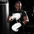 Boxerské rukavice Hayabusa Mayweather Champ white/gold 11