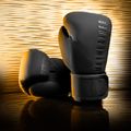 Boxerské rukavice Hayabusa Mayweather Champ black/gold 9