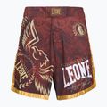 MMA šortky LEONE 1947 Legionarivs II bordeaux 5