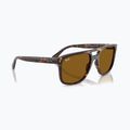 Sluneční brýle Ray-Ban RB2213 havana/brown b-15