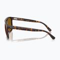 Sluneční brýle Ray-Ban RB2213 havana/brown b-15 6