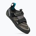 Lezečky SCARPA Reflex VS covey/black 9