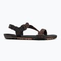 Pánské barefoot sandály Xero Shoes Z-Trail EV multi / brown 2