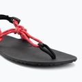Dámské barefoot sandály Xero Shoes Genesis raspberry 7