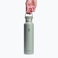 Termoláhev  Hydro Flask Standard Flex Cap 710 ml agave 3