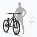 Dirtové kolo Kellys Whip 10 DX 26" frosted green 3