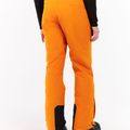 Pánské snowboardové kalhoty Protest PRTChester caramel yellow 4