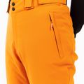 Pánské snowboardové kalhoty Protest PRTChester caramel yellow 5